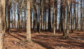 105 Cypress Point Dr, Akron, AL 35441