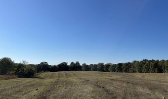 000 County Road 113, Alton, MO 65606