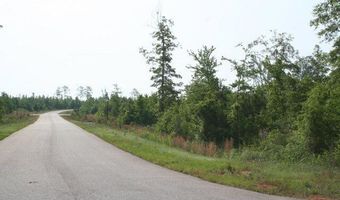 1406 Dunwoody Pl Lot 4, Appling, GA 30802