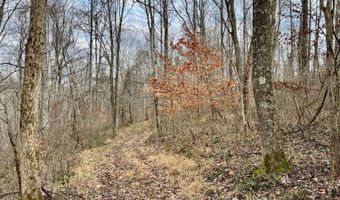 16749 Mush Run Rd, Athens, OH 45701