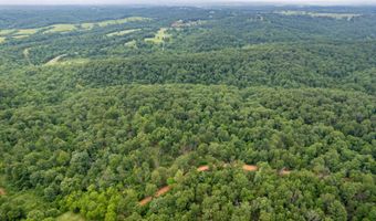 14 5 Neil Robinson Rd, Anderson, MO 64831