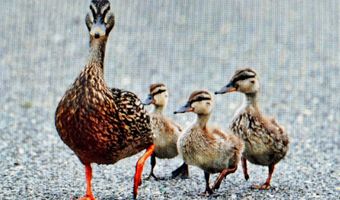 54 Beach Ave, Bayville, NJ 08721