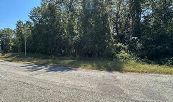 176 Pebble Cove Rd, Abbeville, AL 36310