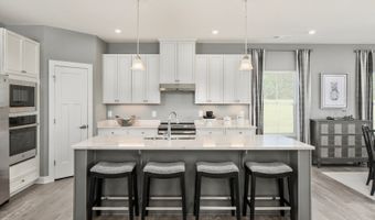 30500 Indigo Way Plan: Savannah with Basement, Georgetown, DE 19947