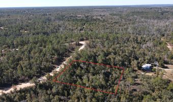 Trenton Avenue, Alford, FL 32420