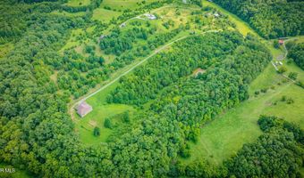 1570 Carl Doty Rd, Afton, TN 37616