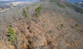 Stoots Mountain Rd. lot 31-A-109, Austinville, VA 24312