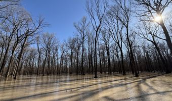 Gun Baoyu Road, Belzoni, MS 39038