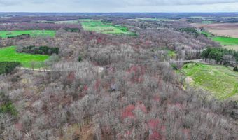 5503 MORGAN Rd, Amherst, WI 54406