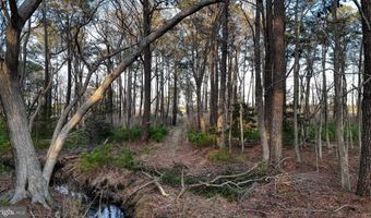 MUSKRATTOWN Road lot 1, Bishopville, MD 21813