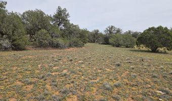 61 Raney Rd, Ash Fork, AZ 86320
