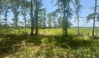 0000 County Road 4307, De Kalb, TX 75559
