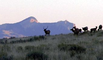 Nhn Ruby Creek Road 946-18, Belfry, MT 59008