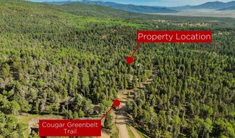 60 Taos Dr, Angel Fire, NM 87710