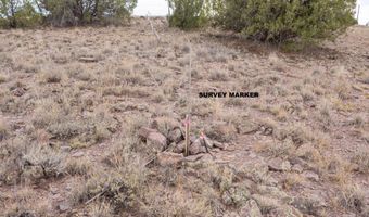 14 XX W BISON HUNT No Address Way 104, Chino Valley, AZ 86323