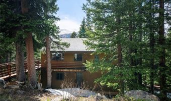 307 Lakeview Dr, Alma, CO 80420