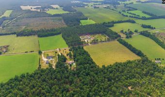 3164 Neely Wingard Rd, Leesville, SC 29070