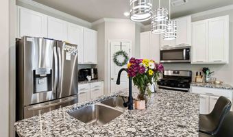 307 Auburn Sta, Auburn, GA 30011