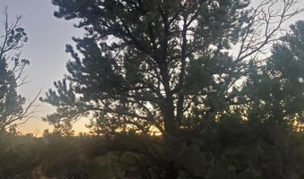 1 COUNTY ROAD N8155, Concho, AZ 85924