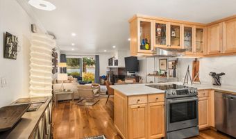 205 E Durant Ave 1-B, Aspen, CO 81611