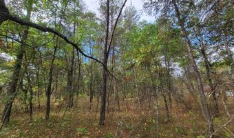 1 51 Acres 15th Ave, Arkdale, WI 54613