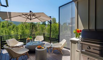 22856 Two Rivers Rd, Basalt, CO 81621
