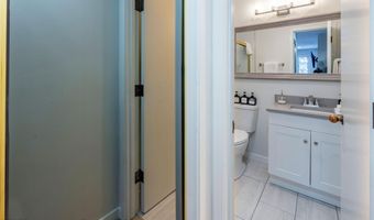 100 E DEAN St 1D, Aspen, CO 81611