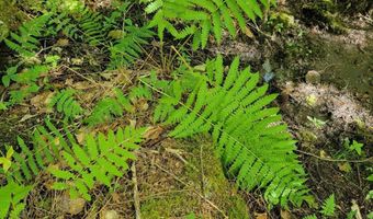 B-2BackLot Pioneer Path, Aurora, ME 04605