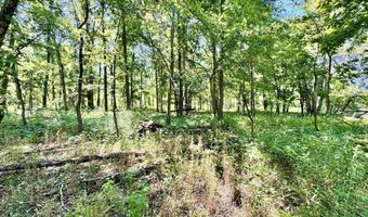 Flint Rd. E 0, Attica, IN 47918