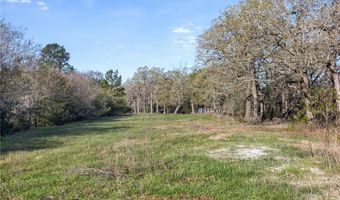 6254 County Road 180, Anderson, TX 77830