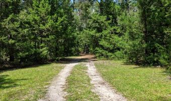 4700 55th Ave, Bell, FL 32619