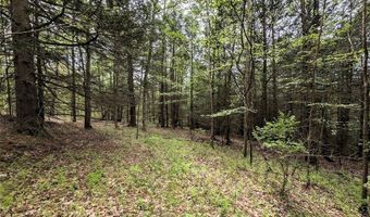 Stewart Road, Addison, NY 14801