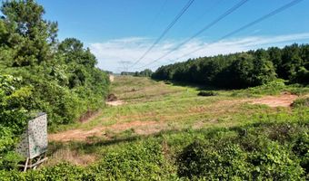 AL HWY 223, Banks, AL 36005