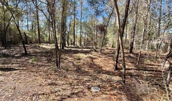 Knollwood lot 4C, Bainbridge, GA 39819