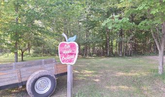 501 Geronimo Rd, Alpena, MI 49707