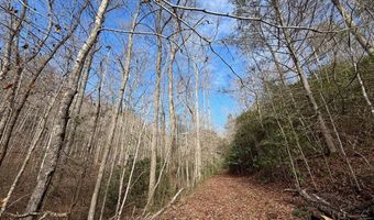 135 49ac Webb Creek Rd, Andrews, NC 28901
