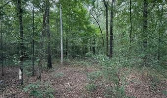 US HWY 64, Atkins, AR 72823
