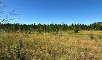 Lot 1 50th Ave, Bell, FL 32619