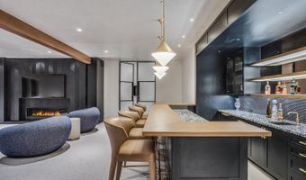 285 Pfister Dr, Aspen, CO 81611