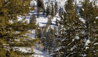 640 S Hayden Rd, Aspen, CO 81611