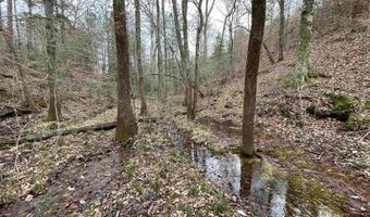 34655 Co Rd 49, Beaverton, AL 35544