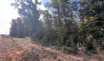 Kokomo Avenue, Alford, FL 32420