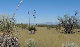 40 ACRE Near Ironwood Rd, Cochise, AZ 85606