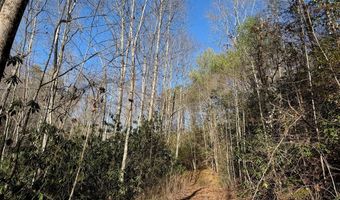 135 49ac Webb Creek Rd, Andrews, NC 28901