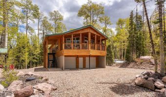 310 N Scenic Dr, Brian Head, UT 84719