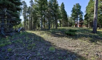 Vail Overlook S lot 324, Angel Fire, NM 87710