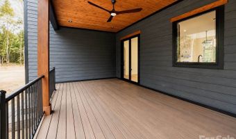 407 Melnick Ter, Asheville, NC 28803
