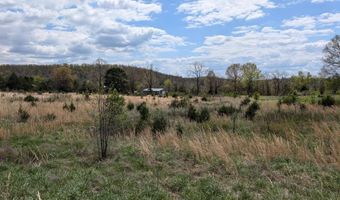 56 Highway, Ash Flat, AR 72513