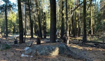 550 Cabbage Patch Log Rd, South Lake Tahoe, CA 95223