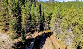 201 Tripod Vw, Cascade, ID 83611